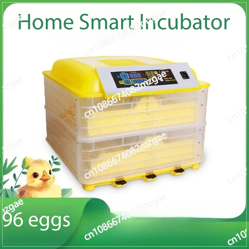 Fully Automatic Mini Incubator - Poultry Incubator 96 Eggs 评论和价格