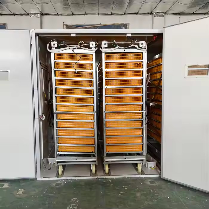 Incubator, Automatic Poultry H - Poultry Incubator 96 Eggs 评论和价格