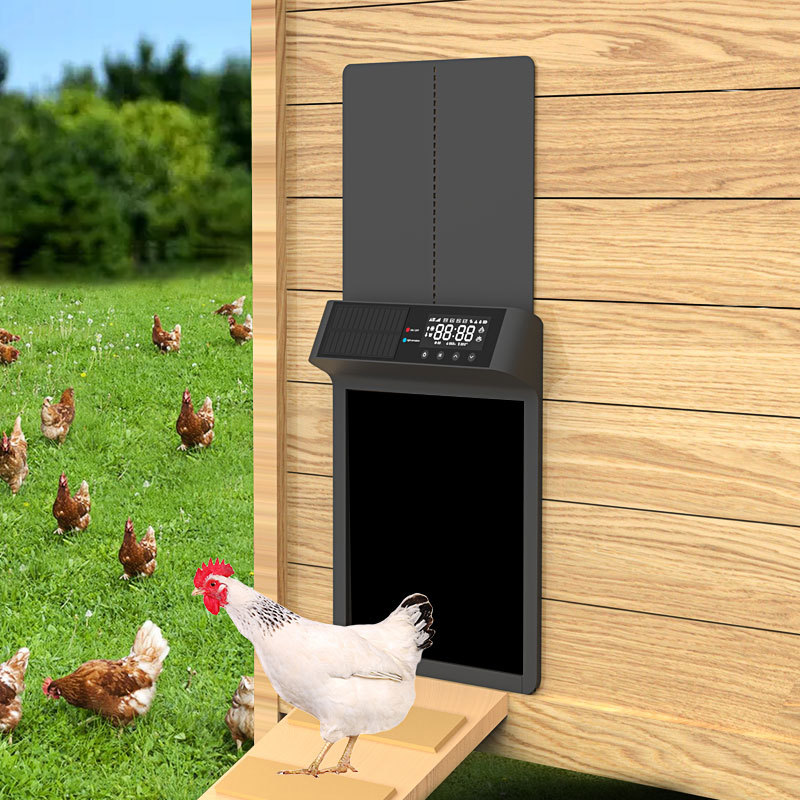 Solar Powered Chicken Door Fen - Automatic Chicken Door Opener Solar 评论和价格