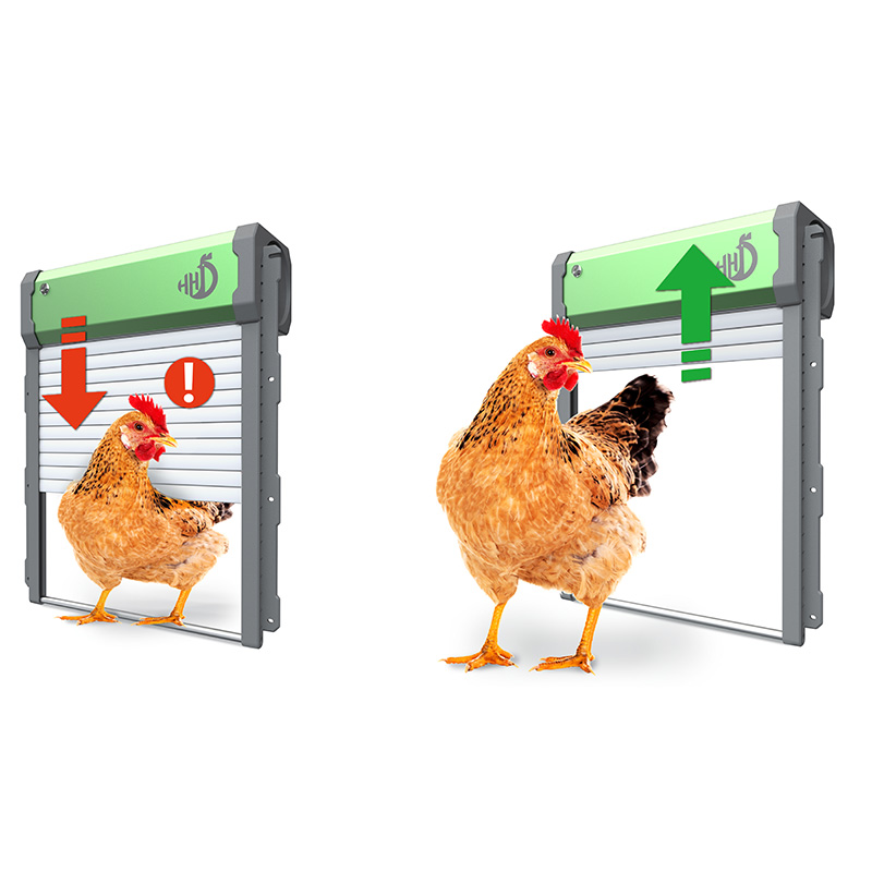 WONEGG Smart APP Automatic Chi - Automatic Chicken Door Opener Solar 评论和价格