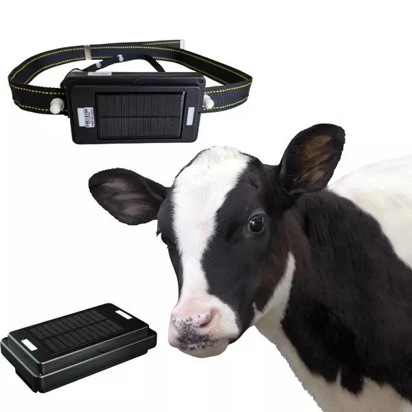 4G Solar Panel Charging GPS Tr - Animal Gps Tracker 4G Solar 评论和价格