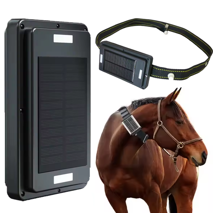 4G Solar Panel Charging GPS Tr - Animal Gps Tracker 4G Solar 评论和价格
