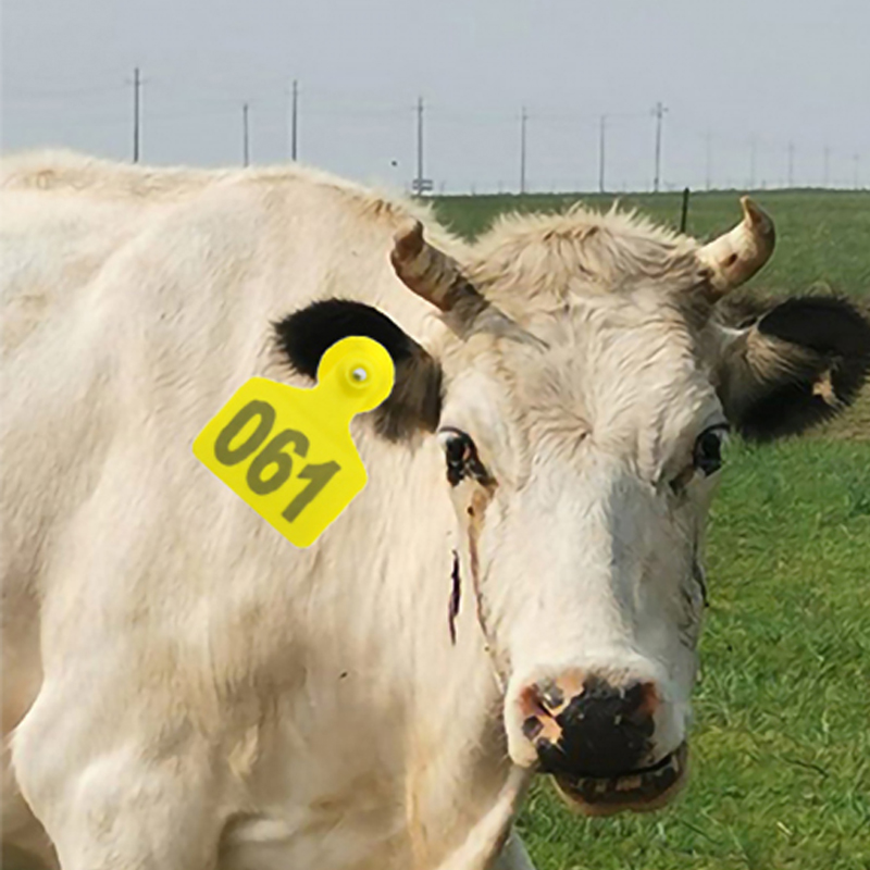 Plastic TPU Identification Lab - Cattle Ear Tag Applicator 评论和价格