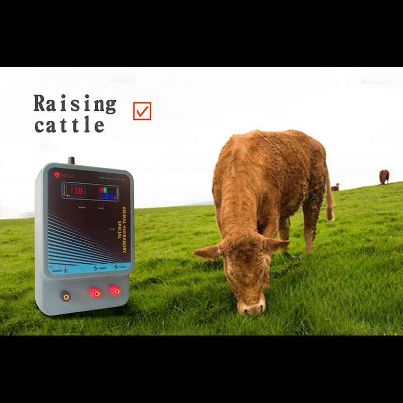 20KM Electric Fence Charger En - Livestock Fence Energizer 12V 评论和价格
