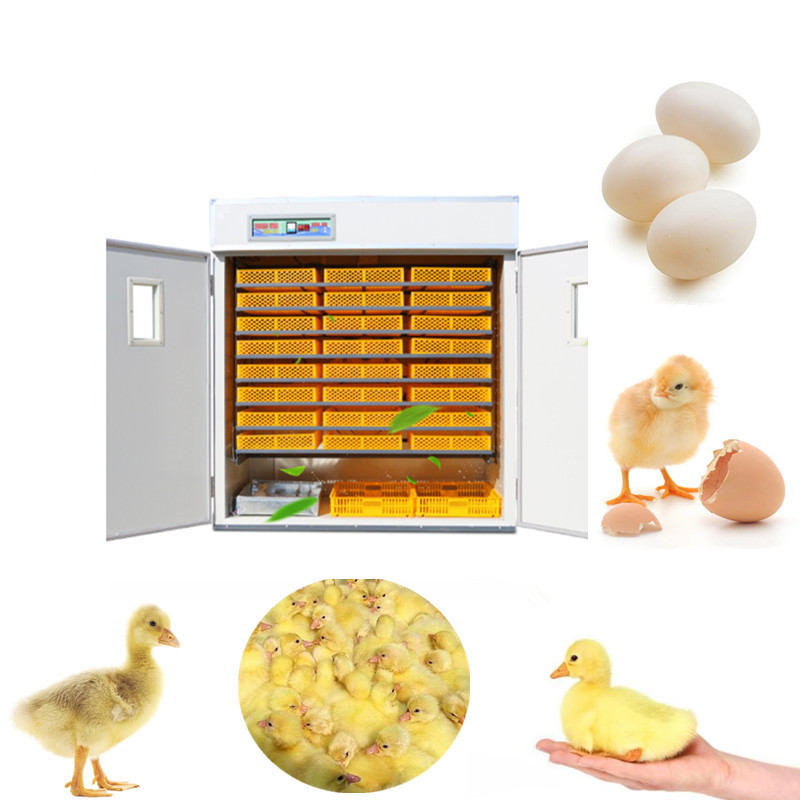 Automatic Egg Incubator, Digit - Poultry Incubator 96 Eggs 评论和价格