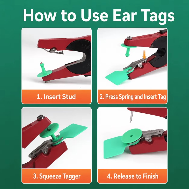 High Quality RFID Ear Tag Appl - Cattle Ear Tag Applicator 评论和价格