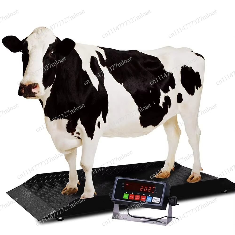 High-quality large-capacity fa - Cattle Weighing Scale Digital 评论和价格