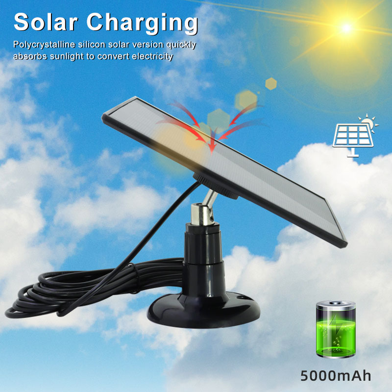 Product IP65 Waterproof Solar  - Automatic Chicken Door Opener Solar 评论和价格
