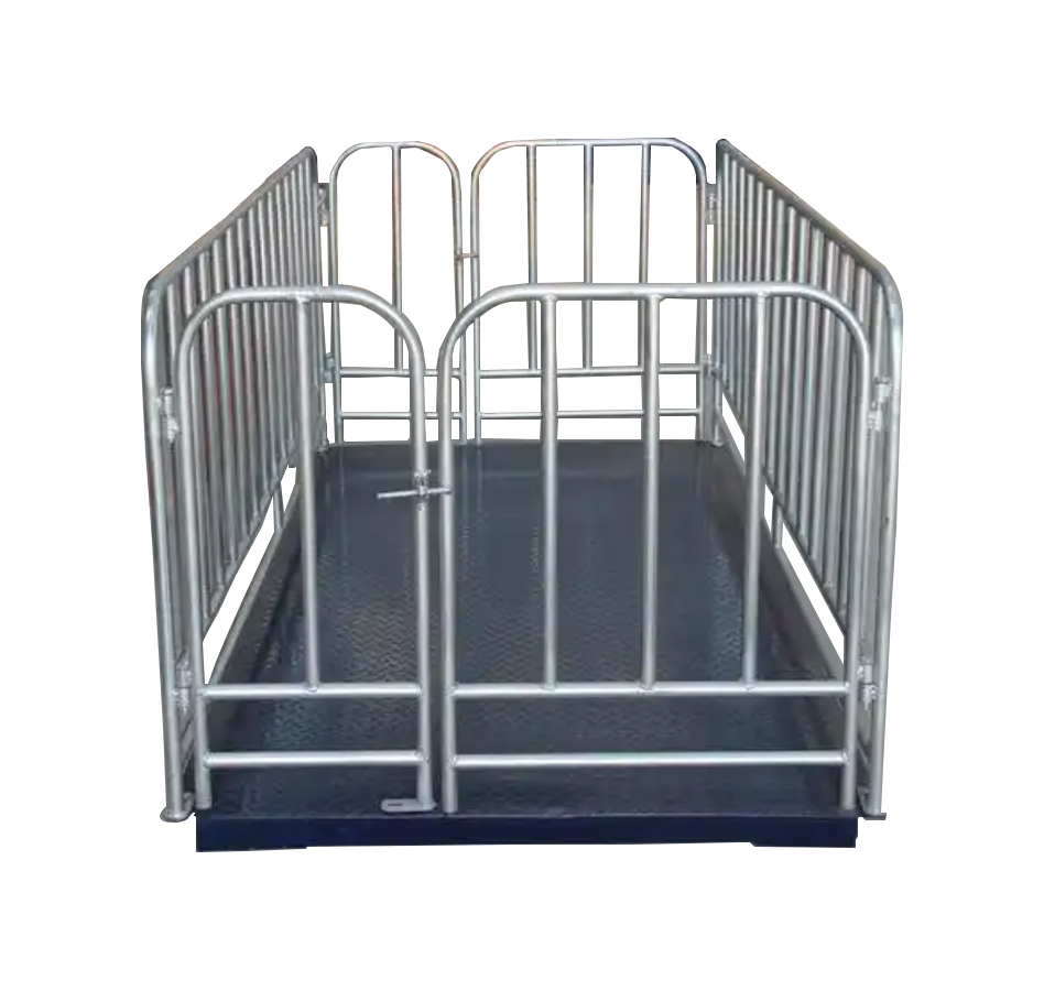 Digital Electronic Livestock A - Cattle Weighing Scale Digital 评论和价格