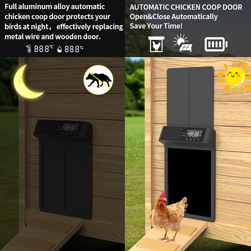 Automatic Luxury Chicken Coop  - Automatic Chicken Door Opener Solar 评论和价格