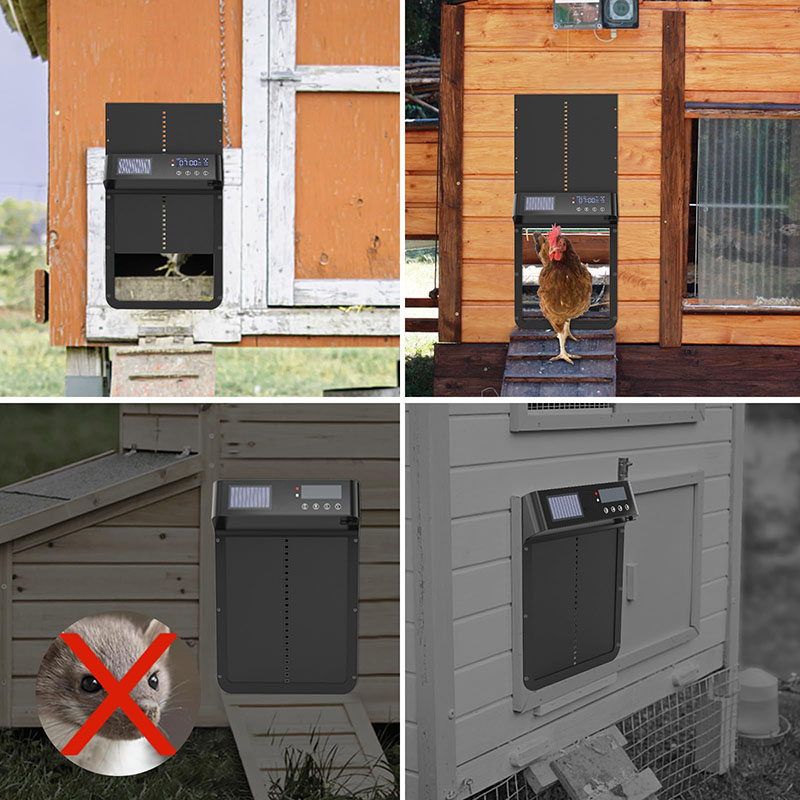 Automatic Luxury Chicken Coop  - Automatic Chicken Door Opener Solar 评论和价格