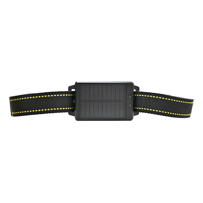 Canton Fair Factory Visiting G - Animal Gps Tracker 4G Solar 评论和价格