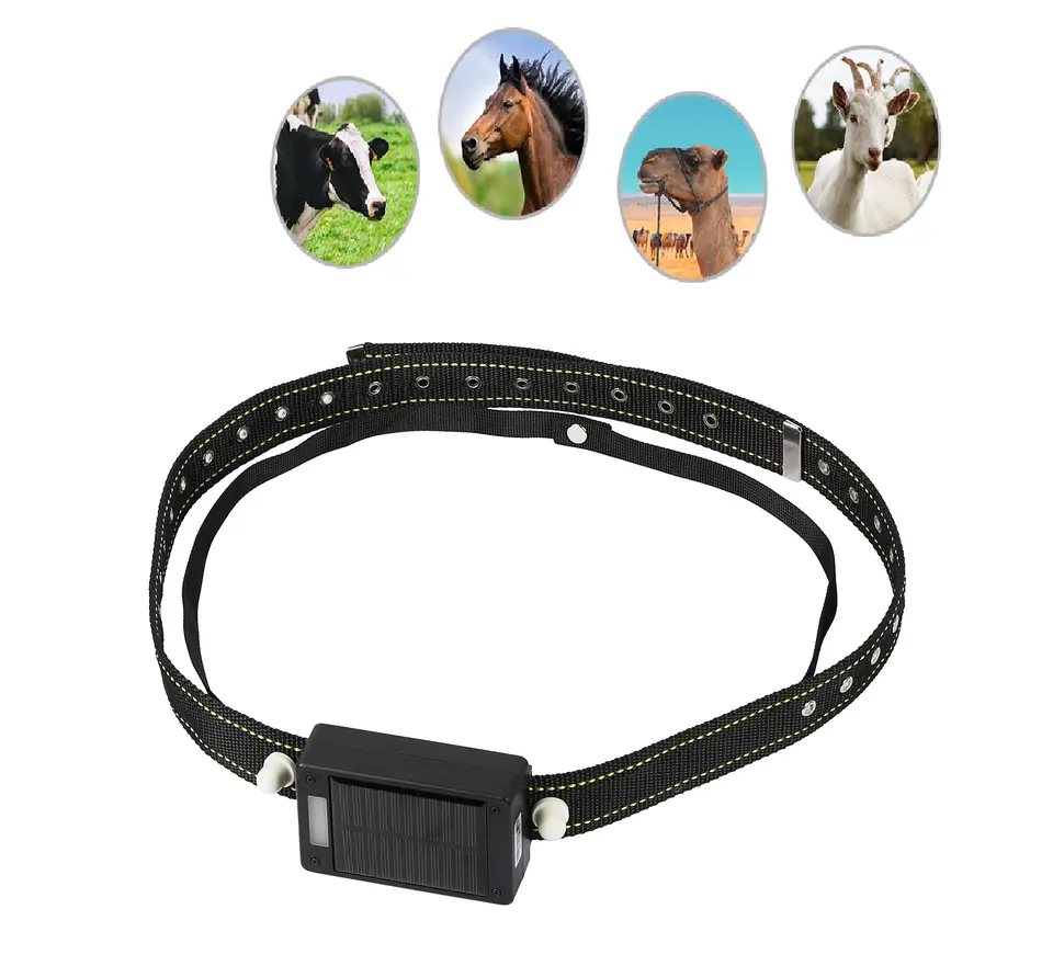 Canton Fair Factory Visiting G - Animal Gps Tracker 4G Solar 评论和价格