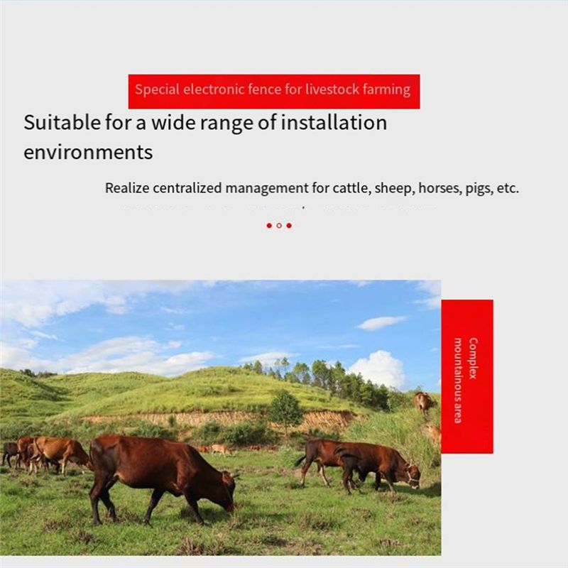 AEE4-10KM Electric Fence Energ - Livestock Fence Energizer 12V 评论和价格