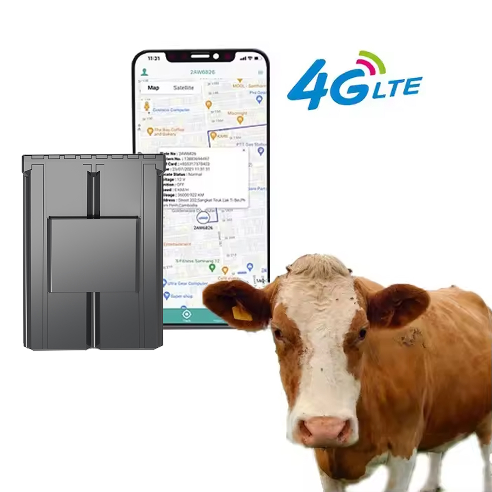 Custom Ear Tag Gps Cattle Trac - Animal Gps Tracker 4G Solar 评论和价格