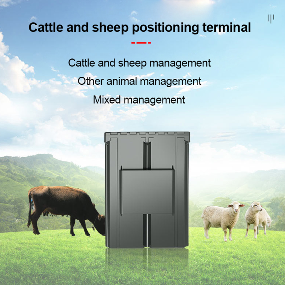 Custom Ear Tag Gps Cattle Trac - Animal Gps Tracker 4G Solar 评论和价格