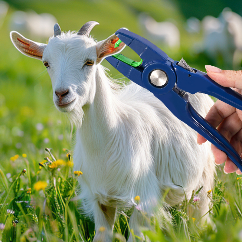 100pcs Integrated Sheep Ear Ta - Cattle Ear Tag Applicator 评论和价格
