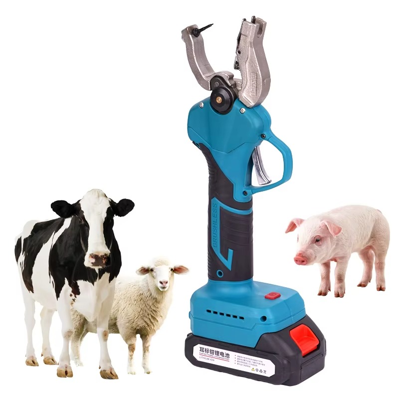 Animal Ear Tag Applicator Live - Cattle Ear Tag Applicator 评论和价格