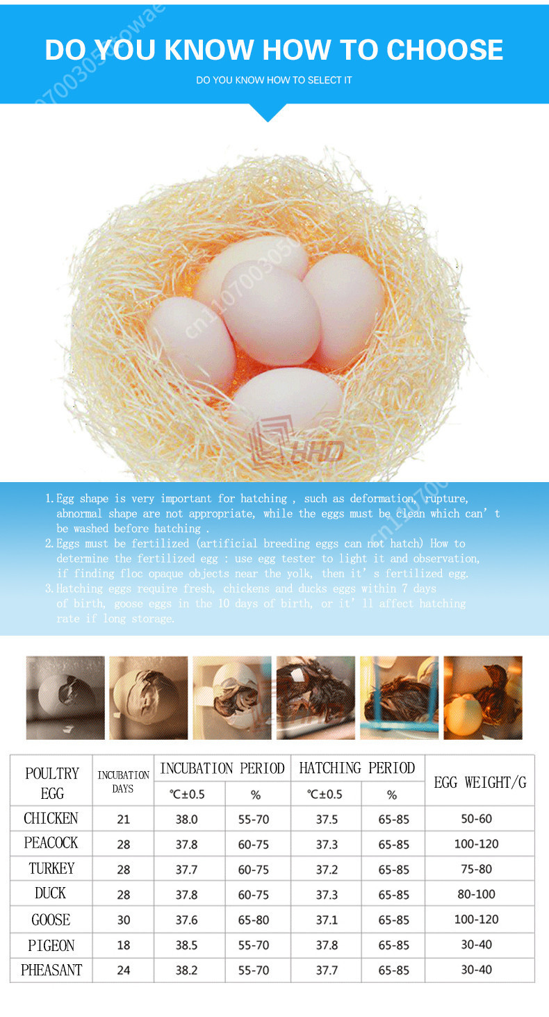 Automatic 96 Eggs Incubator fo - Poultry Incubator 96 Eggs 评论和价格