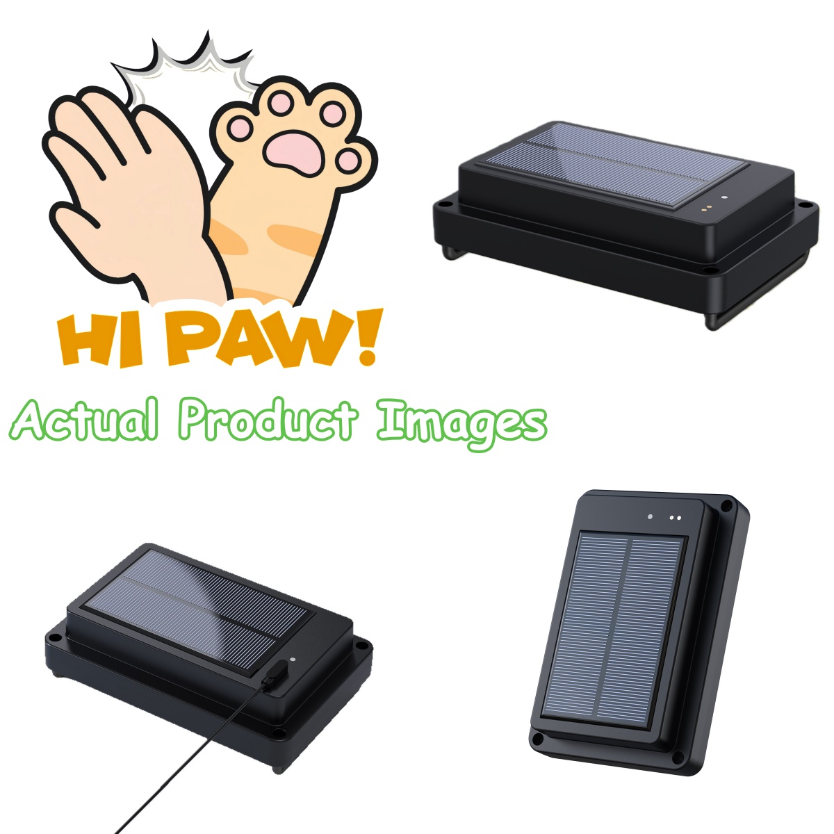4G Gps Sheep Animal Solar Gps  - Animal Gps Tracker 4G Solar 评论和价格