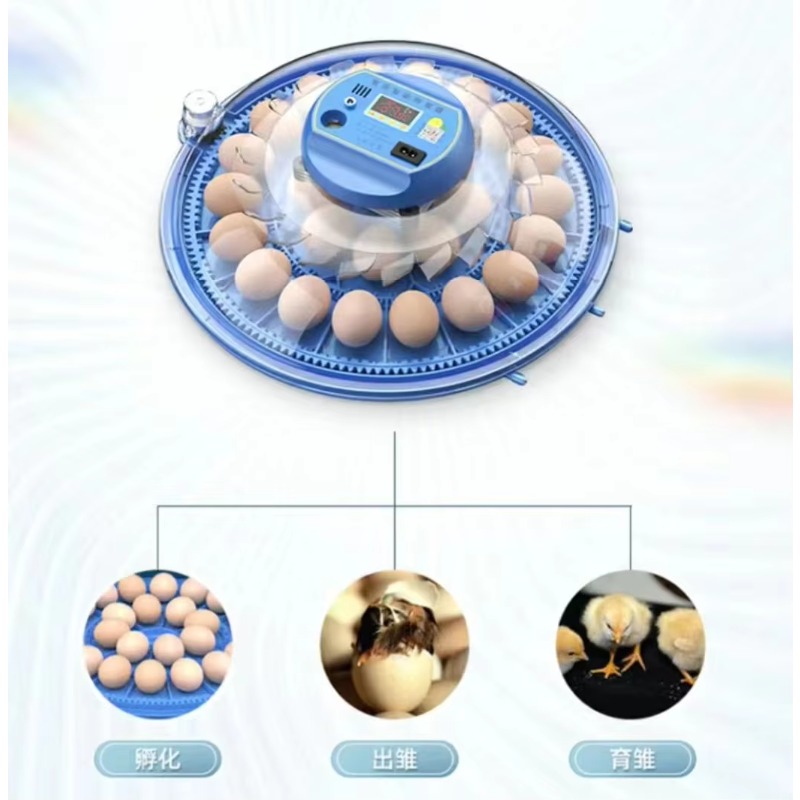 20/24/36/56/96/112 Eggs  Qianq - Poultry Incubator 96 Eggs 评论和价格