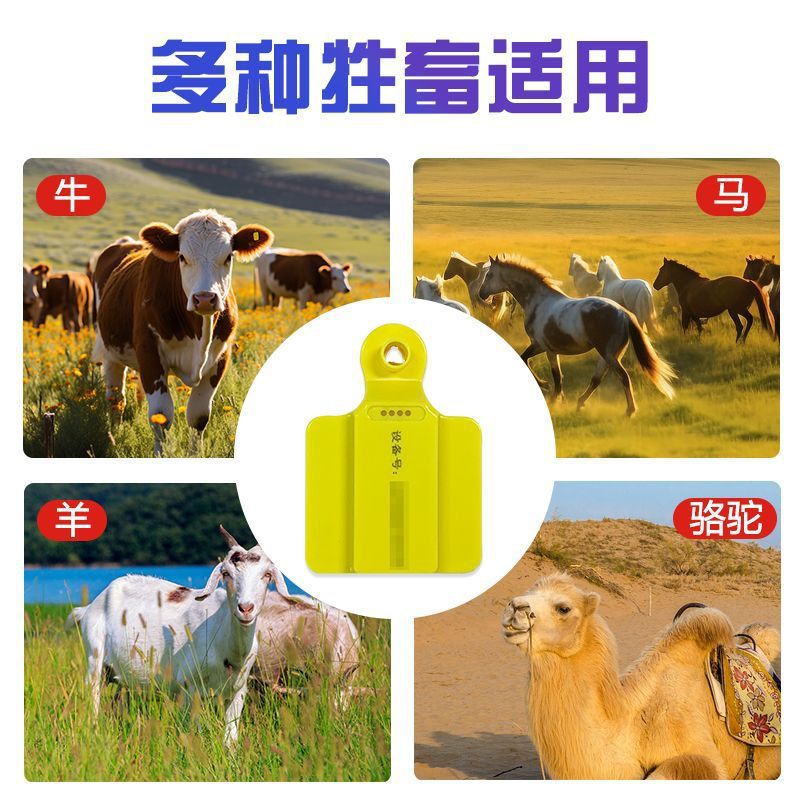 4G GPS Beidou Livestock Ear Ta - Livestock Ear Tag Gps Tracker 评论和价格