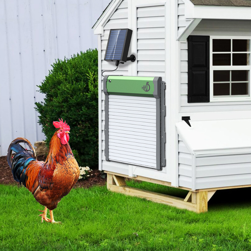 HHD Solar Powered Auto Chicken - Automatic Chicken Door Opener Solar 评论和价格