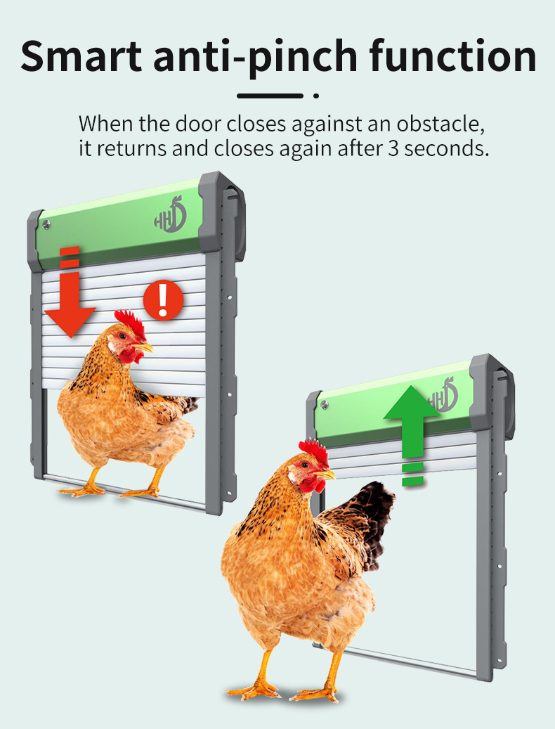HHD Solar Powered Auto Chicken - Automatic Chicken Door Opener Solar 评论和价格