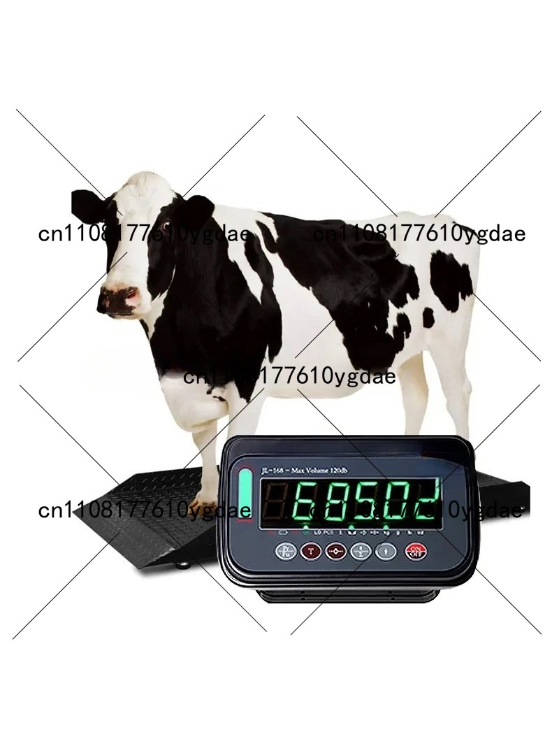 Controller 2 Ton Digital Weigh - Cattle Weighing Scale Digital 评论和价格