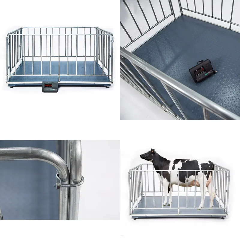 SFW  Certificate Cheap 1 Ton D - Cattle Weighing Scale Digital 评论和价格