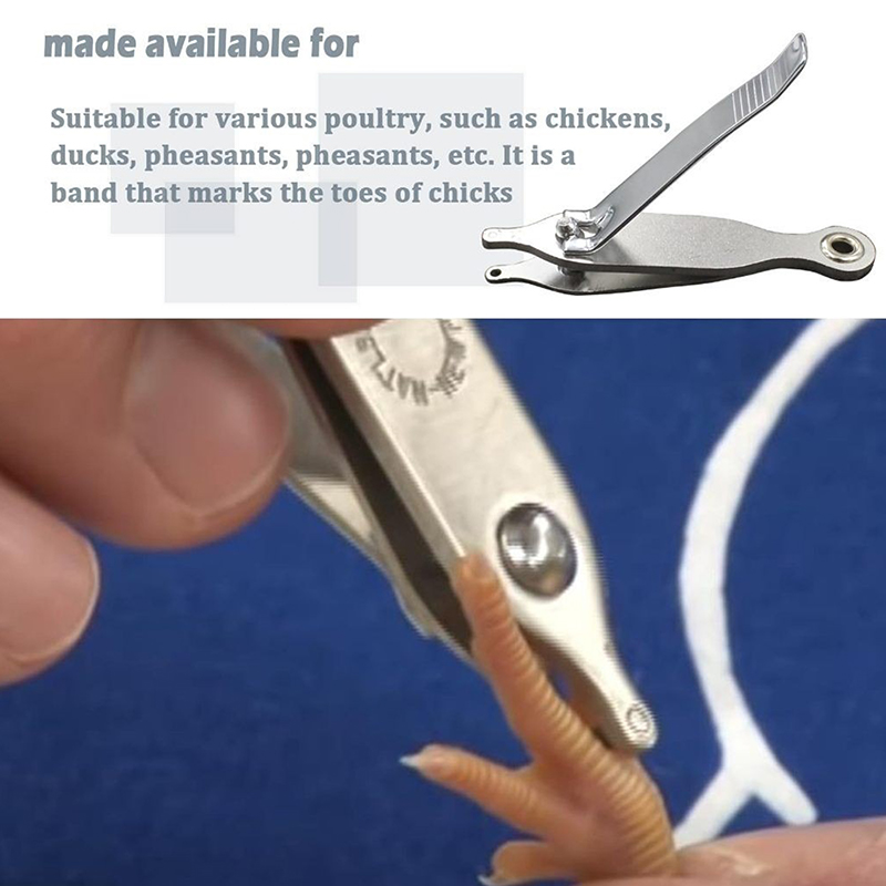 Chicken Toe Punch - Permanent  - Cattle Ear Tag Applicator 评论和价格