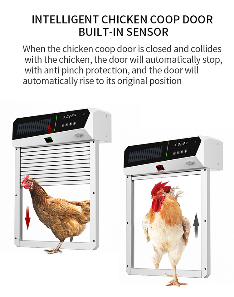 Automatic Chicken Coop Door Op - Automatic Chicken Door Opener Solar 评论和价格