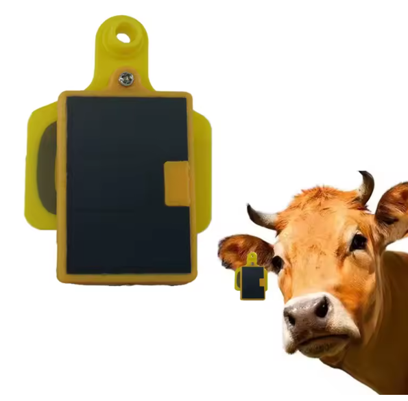 Solar Panel Charging For Cow G - Livestock Ear Tag Gps Tracker 评论和价格