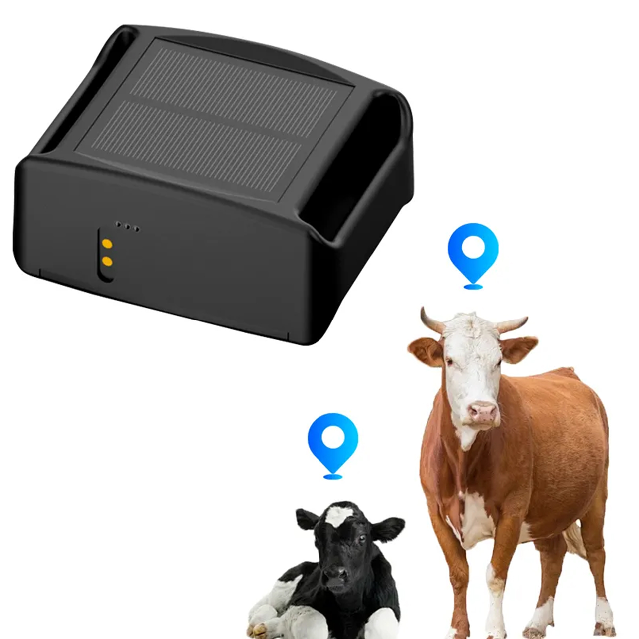 STLFQ19 Anti High Low Temperat - Animal Gps Tracker 4G Solar 评论和价格
