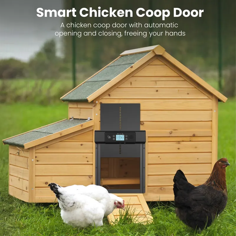 Smart Automatic Modern Waterpr - Automatic Chicken Door Opener Solar 评论和价格