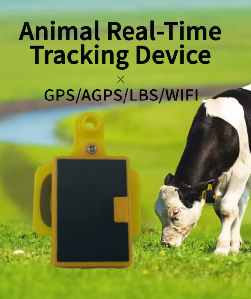 Coofull Cow Ear Tag GPS Tracke - Livestock Ear Tag Gps Tracker 评论和价格