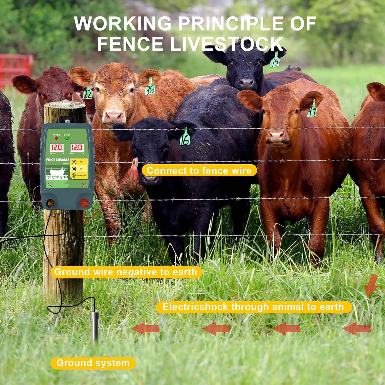 12V Solar Battery Powered Elec - Livestock Fence Energizer 12V 评论和价格